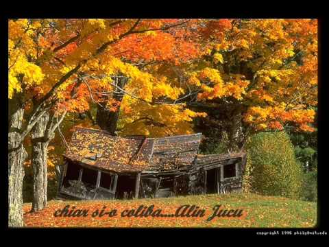 Alin jucu-Doar o coliba