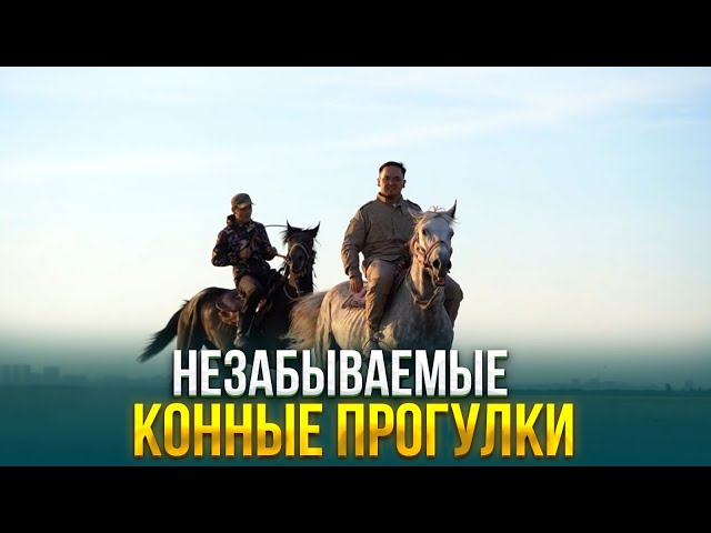 Незабываемые конные прогулки