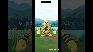 デカエレブー #pokemongo #pokemon #ポケgo #ポケモンgo
