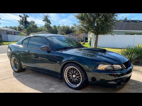 Turbo Bullitt Gets Wheels and Coilovers