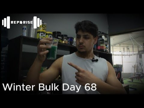Winter Bulk Day 68 - Pull | Back - Bicep