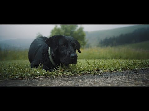Skasti - Wasabi (bideoklipa/videoclip/music video)