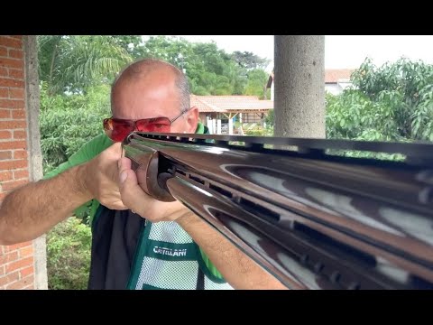 Basic Sights for Sporting Shotguns