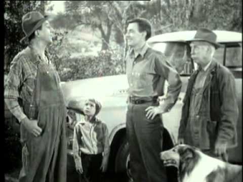 Lassie 1 - Käthie das Borstenvieh