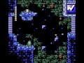 Rockman No Constancy Flash Man Perfect Run