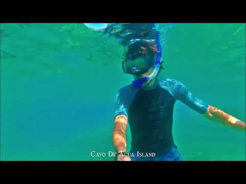 Fonseca, Rubén Blades - Nunca me fui