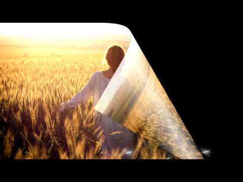 DONOVAN COLOURS - 1965 -