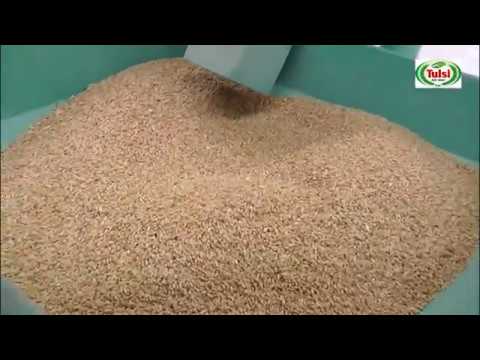 Medium Wheat Cleaning plant