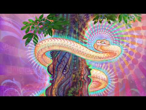 Psychedelic Visionary Art Visuals Meditation ft. Simon Haiduk & Anilah