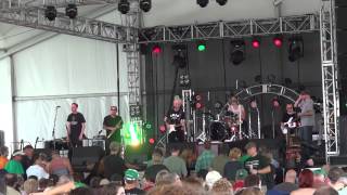 Black 47 - Izzy&#39;s Irish Rose