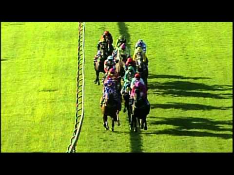 2008 - Dubai Rosehill Guineas - Dealer Principal