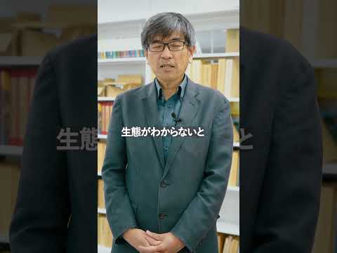 教員紹介④ 【竹内 将俊 教授】 #shorts #東京農業大学 #地域創成科学科