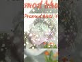 Pramod Bhai Ji