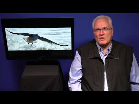 ATEMPAUSE (Samstag, 27. Januar 2018) „Stolz oder dankbar?“ - 5. Mose 8, 1-20