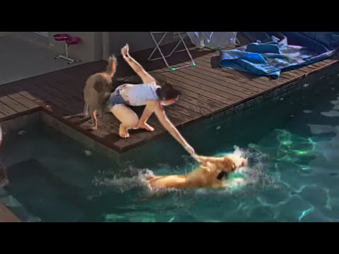 O SLINKY JOGOU A BRUNA NA PISCINA! Ela de roupa e tudo kkkk...