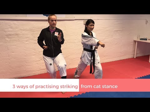 3 ways of practising striking from cat stance