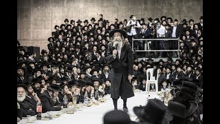 ר' מיילך בידרמן ואלפי מעריציו כובשים את מירון! - Rabbi Elimelech Biderman