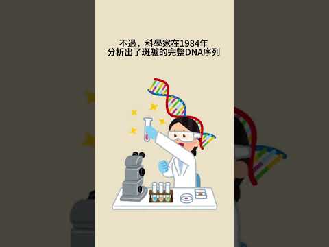 今天的維基百科條目&mdash;&mdash;斑驢計劃