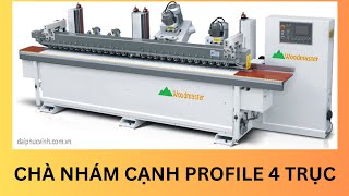 MÁY CHÀ NHÁM CẠNH PROFILE 4 TRỤC WOODMASTER WM-S2W2