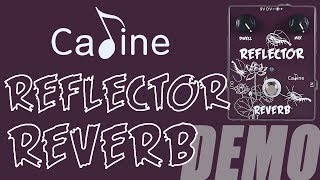Video thumbnail for Caline - CP-44 Reflector Spring Reverb - Demo by Ryan Lutton
