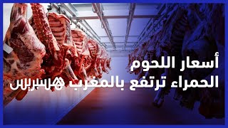 أسعار اللحوم الحمراء ترتفع بالمغرب .. والمهنيون يشتكون من "ندرة المنتوج" thumbnail