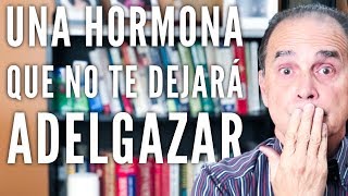 Episodio #1338 Una Hormona Que No Te Dejará Adelgazar