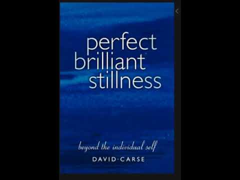Perfect Brilliant Stillness by David Carse (audiobook)