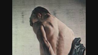 Flesh World - The Wild Animals in My Life (2015) [Full Album]