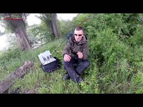 JENZI 2015 - Angeln auf deutsche Waller (Teil 3)