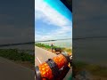 Sad Hinde Song Video Vi Suleman