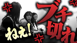 失礼すぎる後輩にせいかがブチギレました。