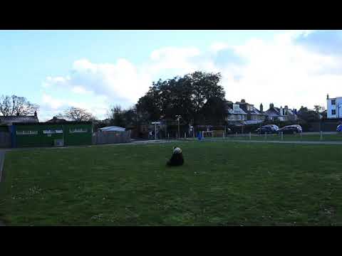 Framing experiment (30/01/2019)