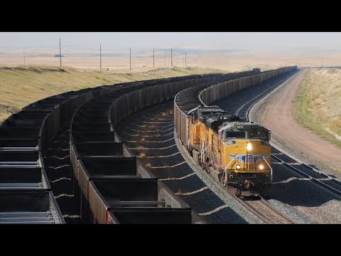 Nonstop Union Pacific & BNSF Powder River Coal Trains at Logan Hill, Wyoming 8/15/2024