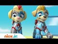 The Mighty Twins In Action PAW Patrol Nick Jr