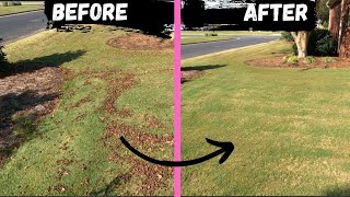 How To Get Leaves Up In 2 Minutes | Yard Sweeper Review