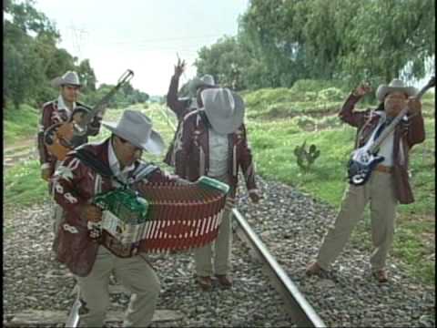 grupo accion oaxaca frontera sangrientas