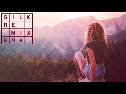 Enviado Vida feat. DASHANIKON - What Did You Feel (eleven.five Remix) [Silk Music]