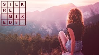 Enviado Vida feat. DASHANIKON - What Did You Feel (eleven.five Remix) [Silk Music]