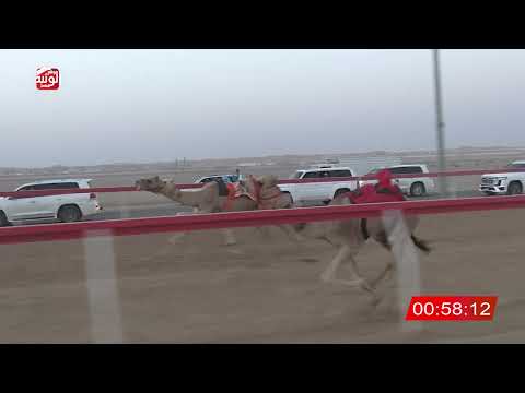  ش 2 (شاهين) لـ نايل فهيد بن مفتاح الشامسي 2:06 ، شارة الصندوق 2026/07/13 فطامين الروضة