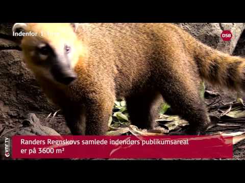 Indenfor 1 Time - Randers - Randers Regnskov - Memphis Mansion