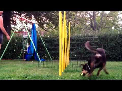 Lite slalom - 6 pinnar med kompostgaller i mitten