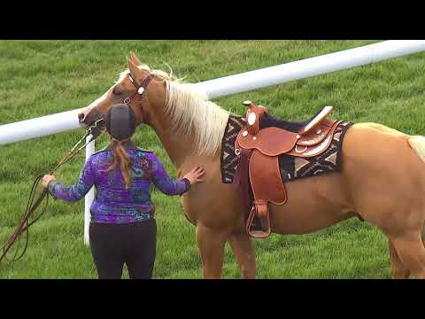 RasParad 5 september 2017 Bro Park