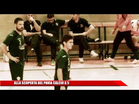 Pavia Calcio a 5: si va alle fasi finali