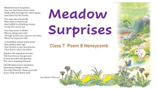 Meadow Surprises Class 7 Poem 8 Explanation in English