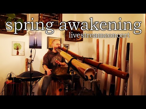 Spring Awakening | Living Room Concert | Handpan, RAV, Didgeridoo & Percussion