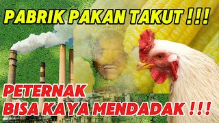 Download lagu MUDAH ‼️ CARA MEMBUAT PAKAN ORGANIK AYAM PETELUR 🥚🐔💯 mp3