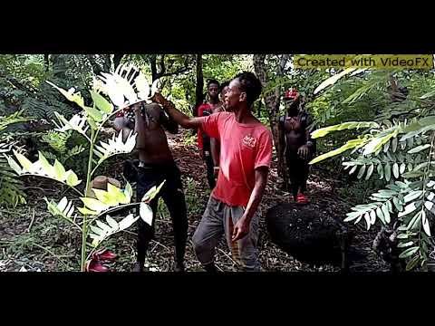 Chiidza hatoir ft beresto_-_58_zhm & iriyasro Gang (clip officiel)