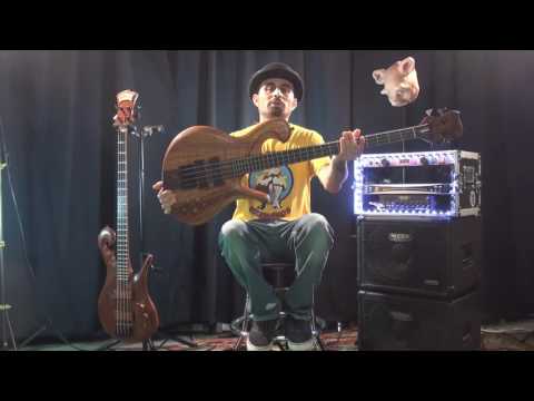 HILTON GUITARS 4 STRING CUSTOM BASS | Made for JangoMike | Quick Overview/Q&A