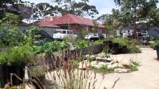 preview picture of video 'Living Mosman: Community Gardening'