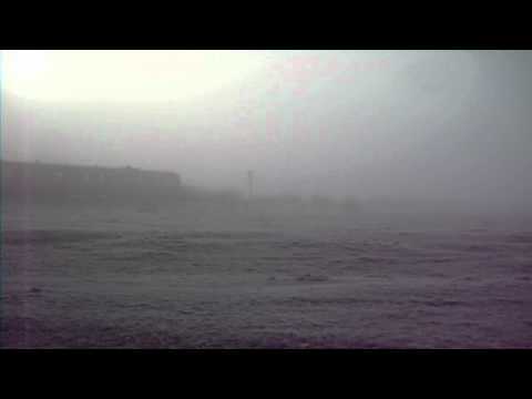 Regiotrans prin ceata  in Peciu Nou (jud.Timis) Ianuarie 2010